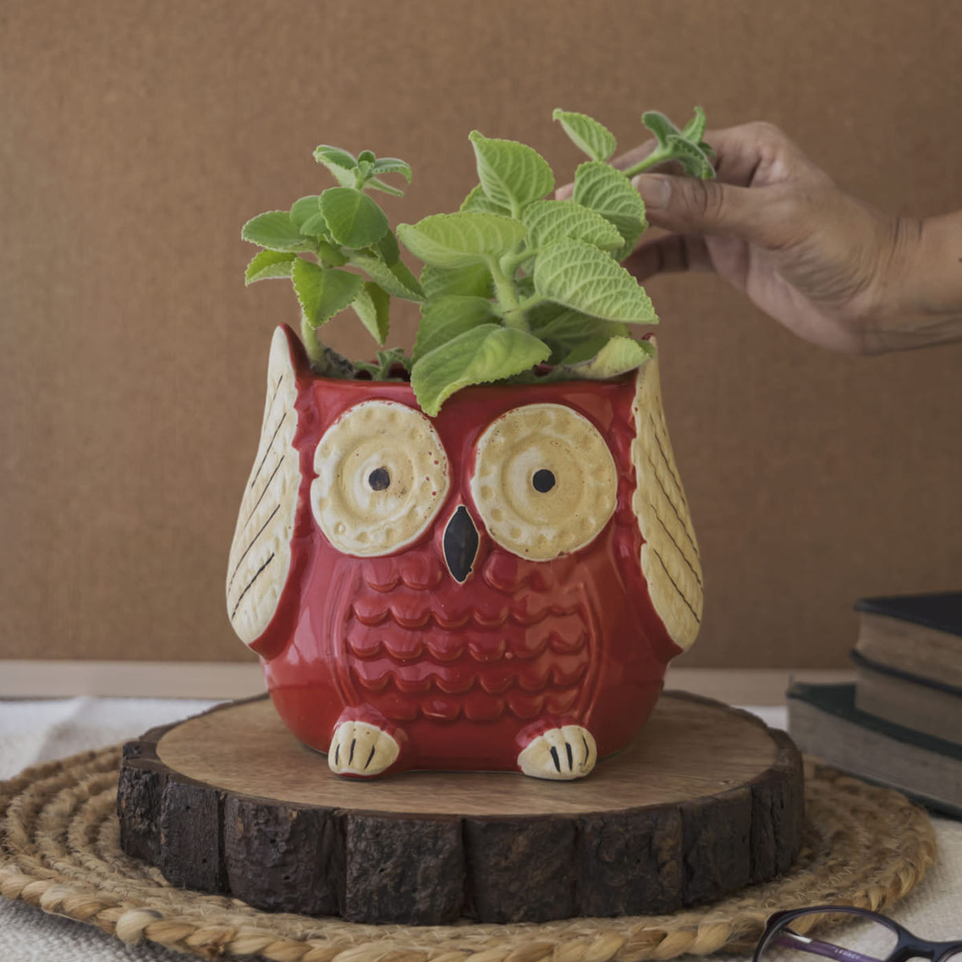 pot plant owl Garden Gleams Red Owl Planter Pot – Amalfiee Ceramics