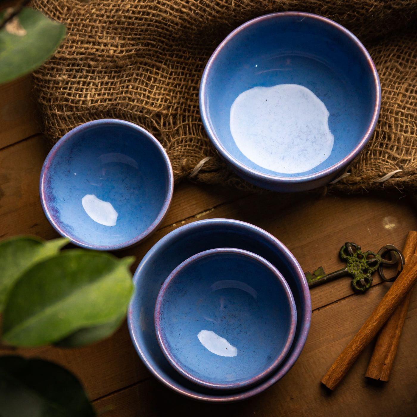 Dinner Bowls
