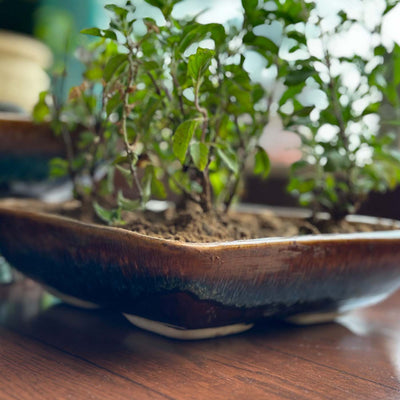 Garden Gleams Brown Bath Planter Pot