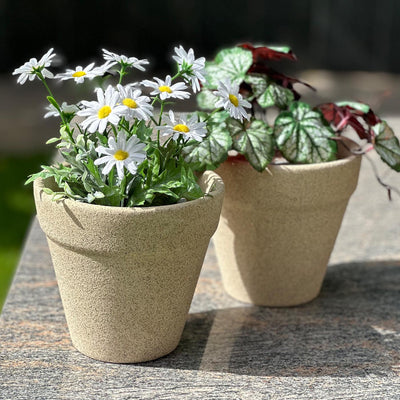 Garden Gleams White Planter Pot Set of 2