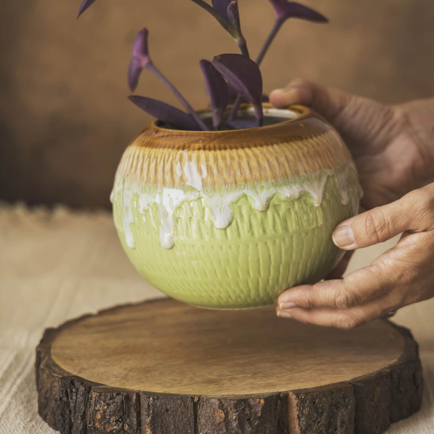 Garden Gleams Green and Brown Planter Pot