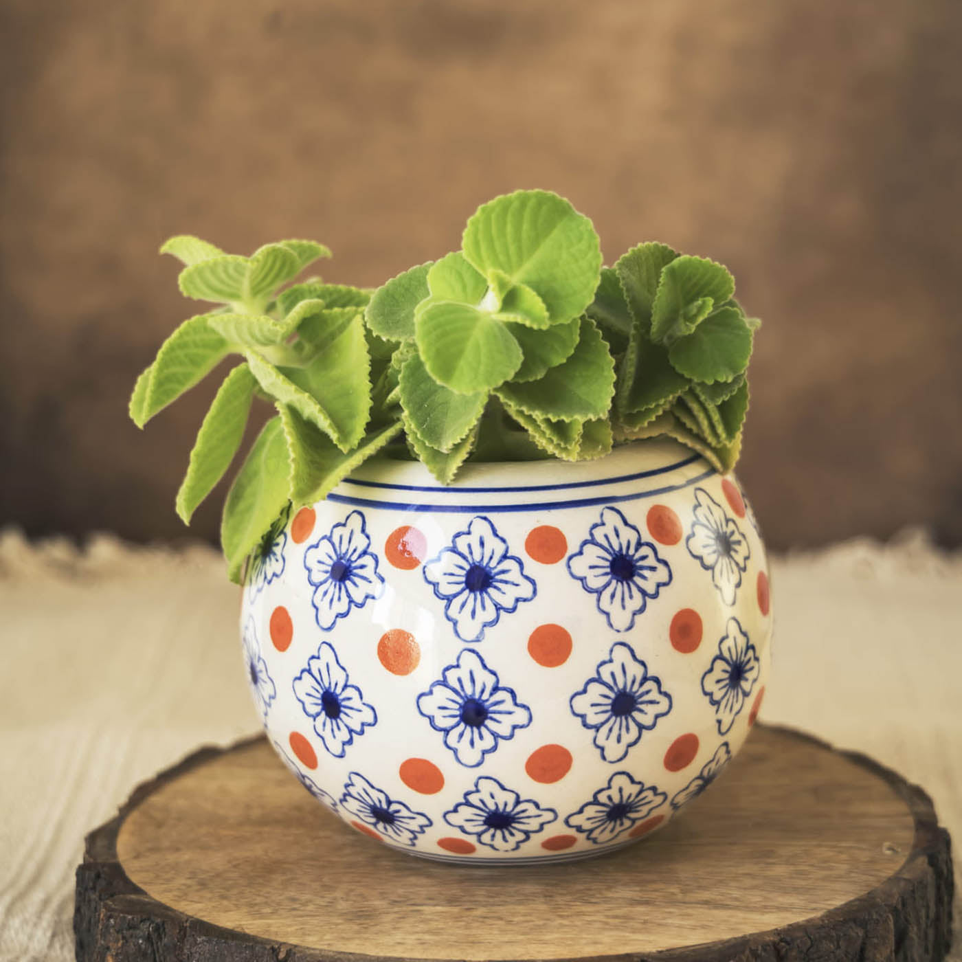 Garden Gleams Orange Blue Pattern Planter Pot