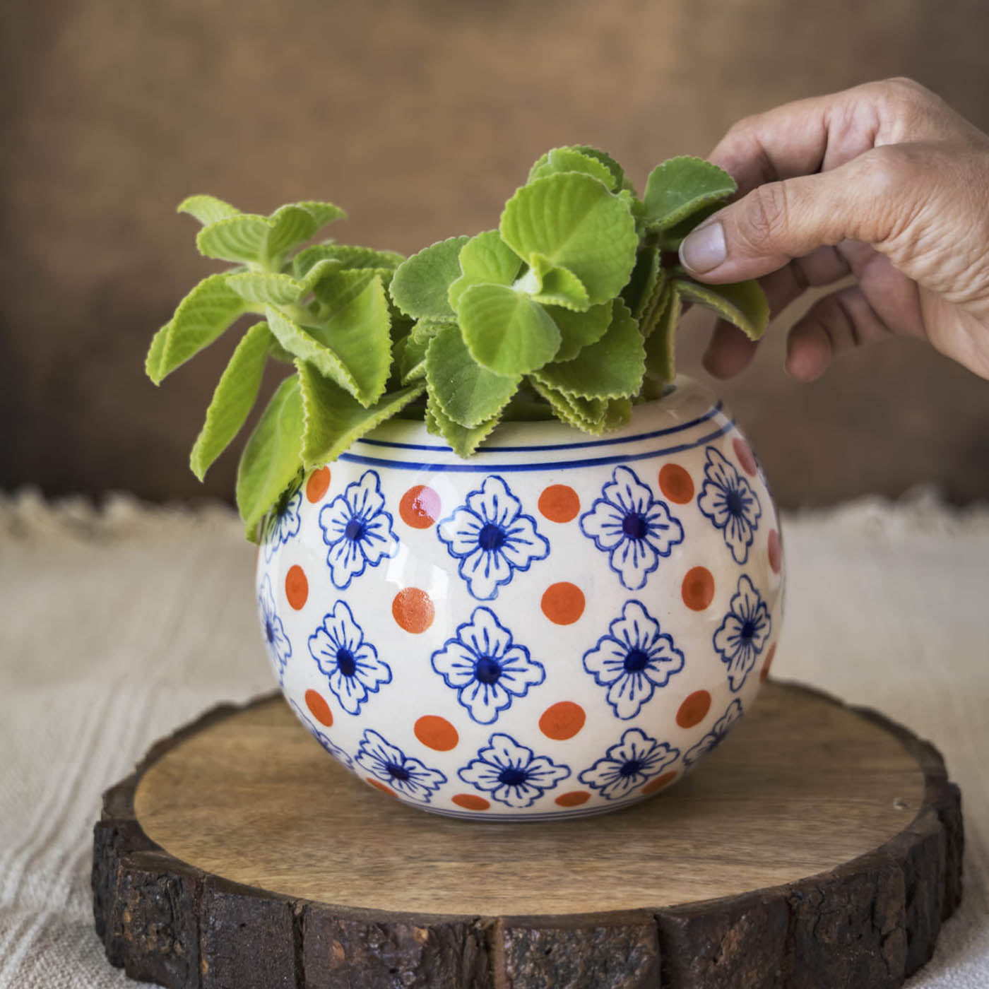 Garden Gleams Orange Blue Pattern Planter Pot