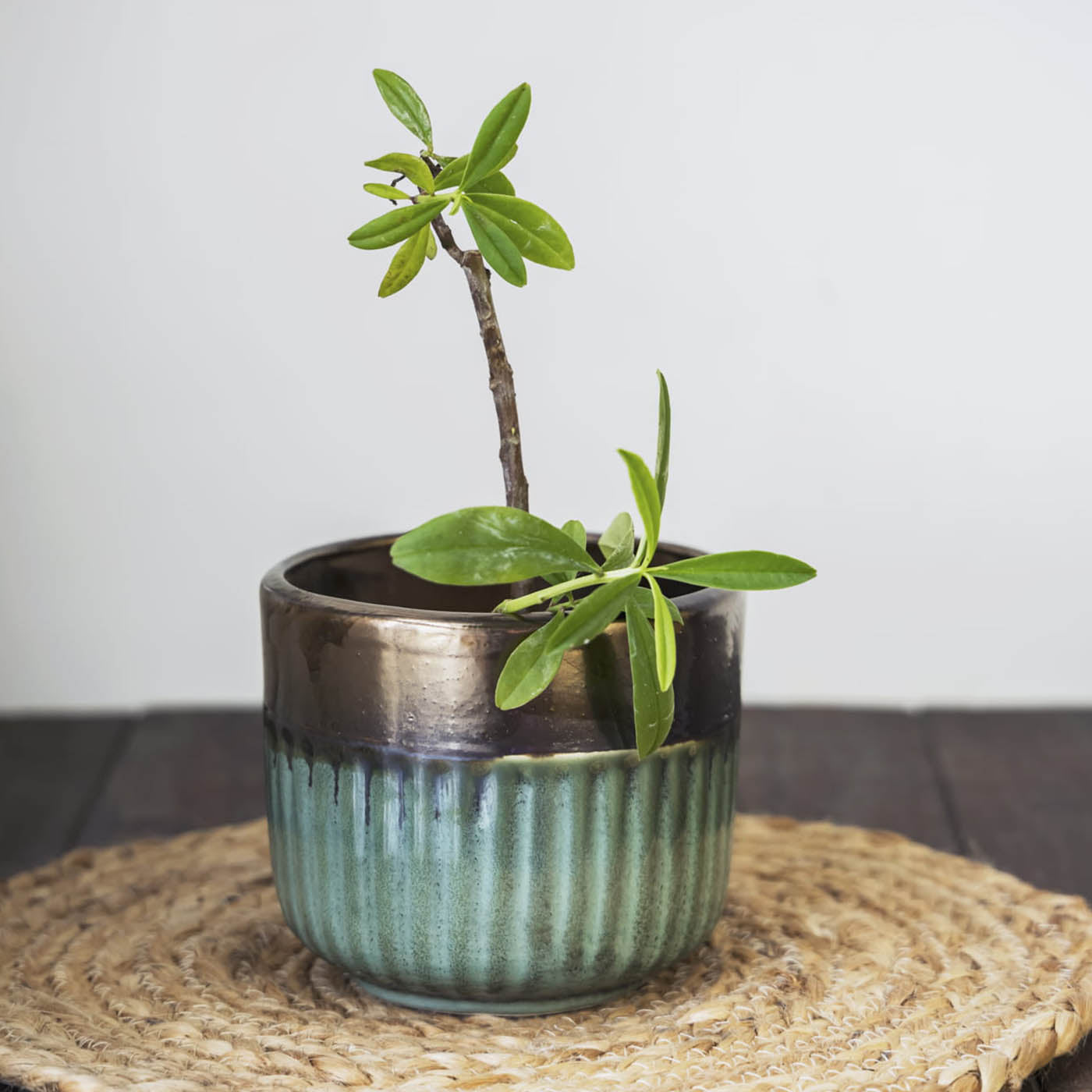 Garden Gleams Green -Gold Small Planter Pot