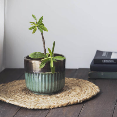 Garden Gleams Green -Gold Small Planter Pot