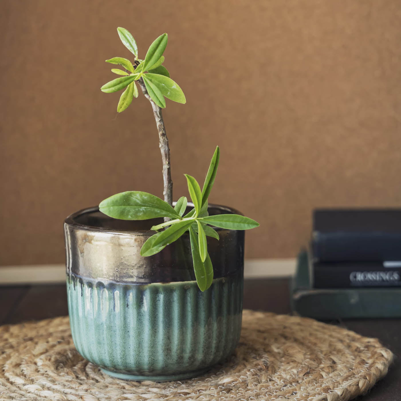 Garden Gleams Green -Gold Small Planter Pot