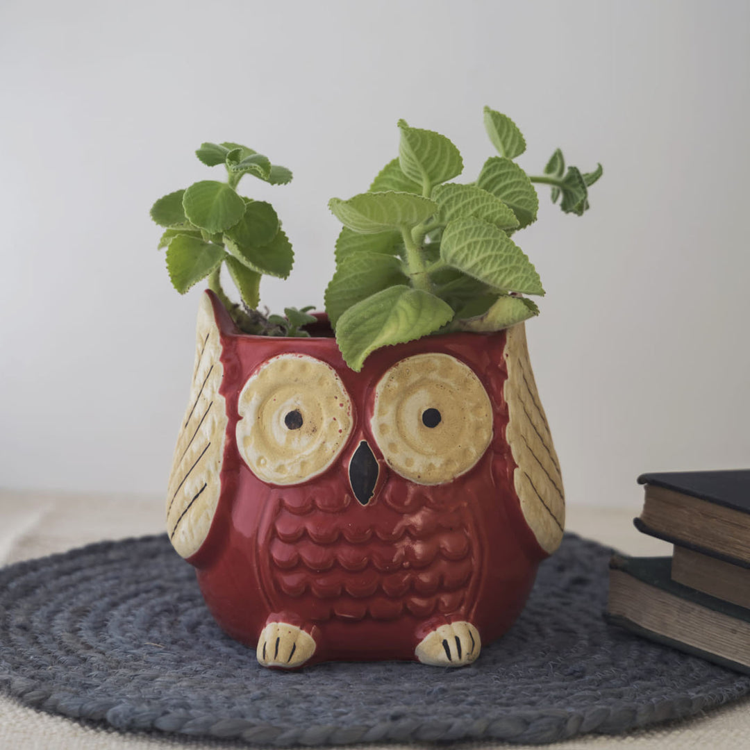 large owl plant pot Garden Gleams Red Owl Planter Pot – Amalfiee Ceramics
