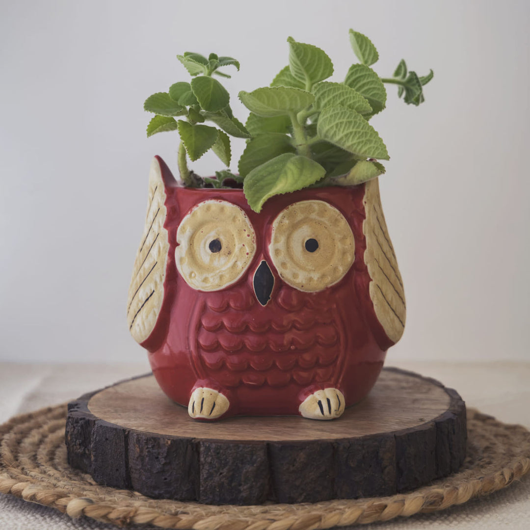 Garden Gleams Red Owl Planter Pot