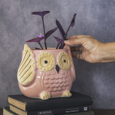 Garden Gleams Pink Owl Planter Pot