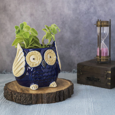 Garden Gleams Blue Owl Planter Pot