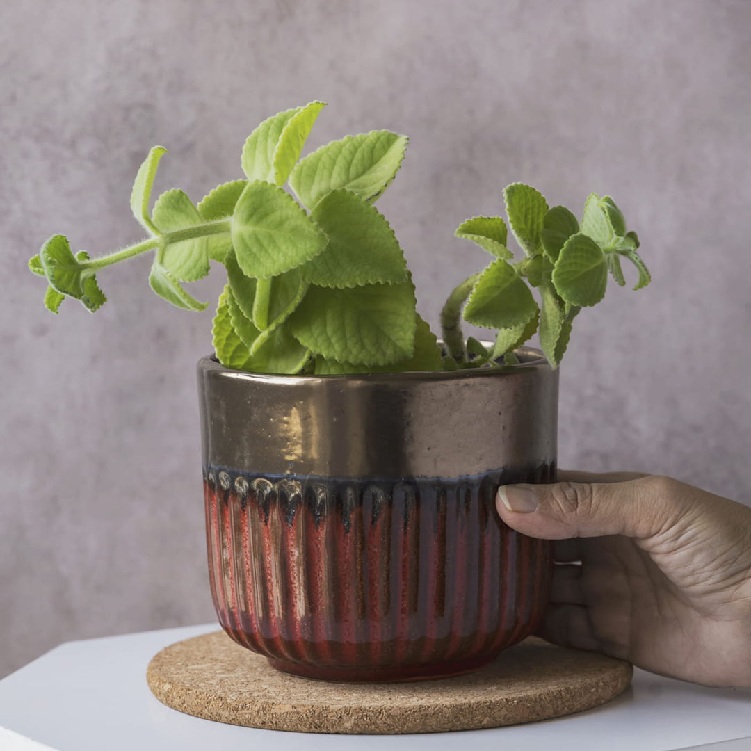 Garden Gleams Brown Small Planter Pot
