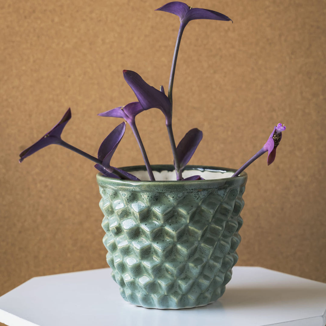 Garden Gleams Green Big and Small Planter Pot