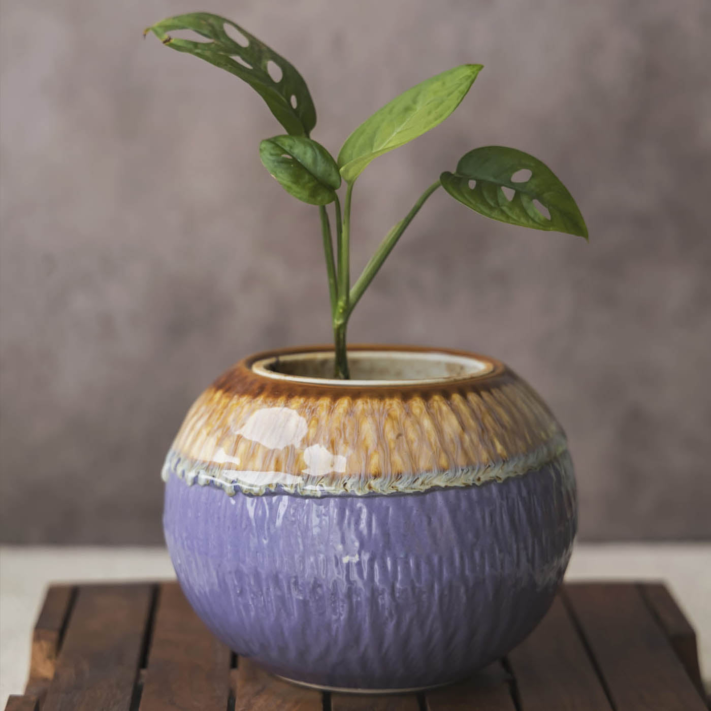 Garden Gleams Brown and Puple Planter Pot