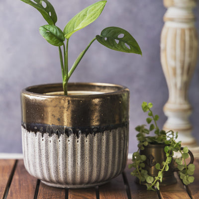 Garden Gleams White - Gold Small Planter Pot