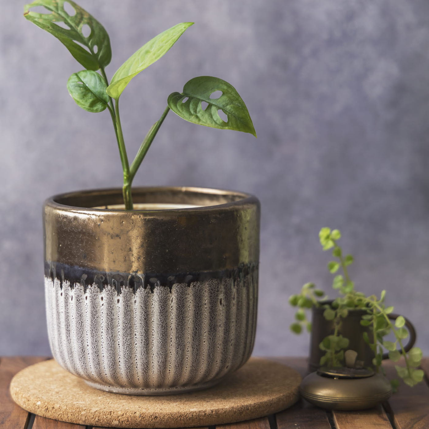 Garden Gleams White - Gold Small Planter Pot