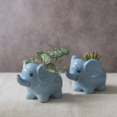 Garden Gleams Blue Elephant Planter Pot Set of 2