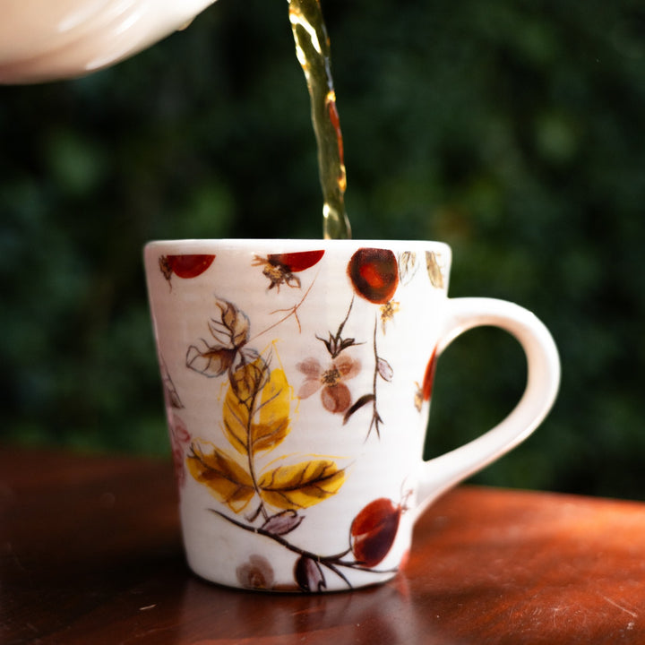 Anaara Premium Mugs Luxury Gift Set