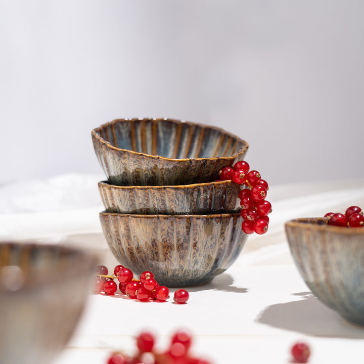 Oshin Ceramic Dinner Set of 16 pcs