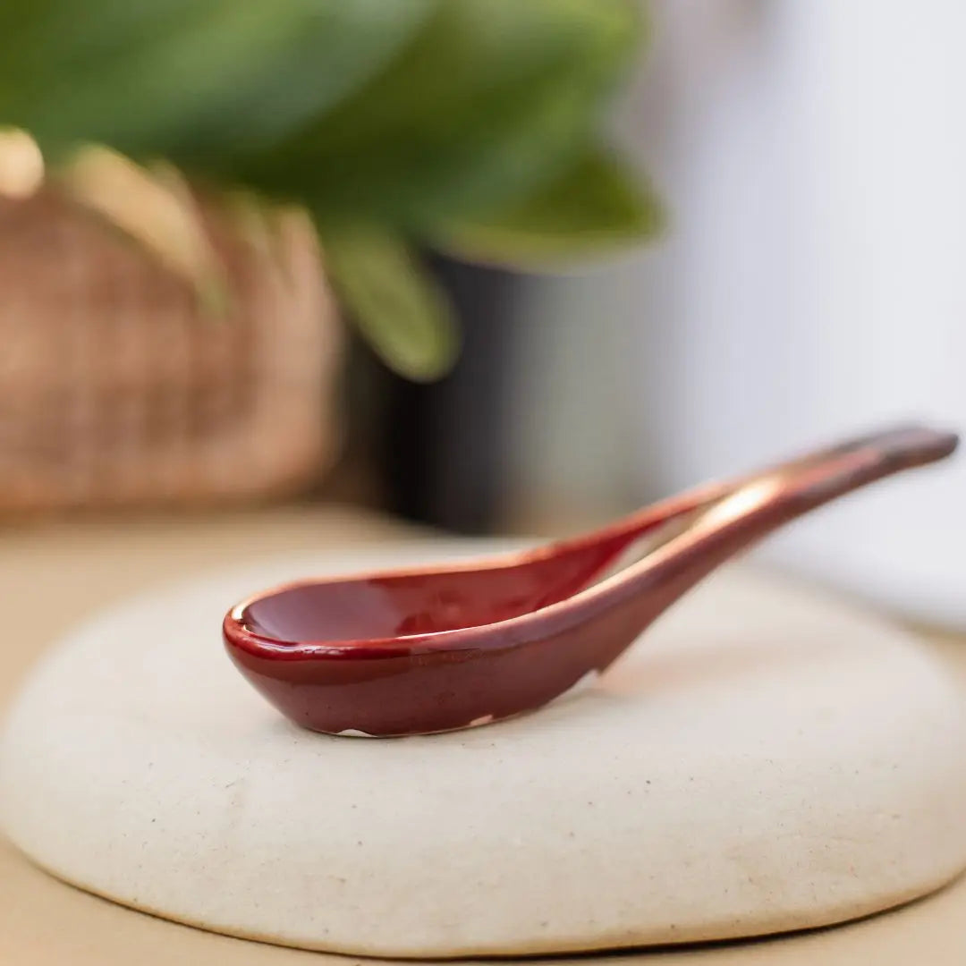 Raajsi Ceramic Spoon Set of 2 Amalfiee Ceramics