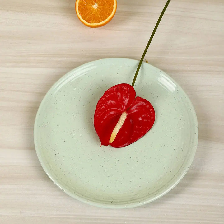 Lemongrass Massive Ceramic Dinner Set of 54 Pcs Amalfiee_Ceramics